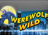 Werewolf Wild