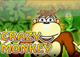 Crazy Monkey
