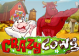 Crazy Cows